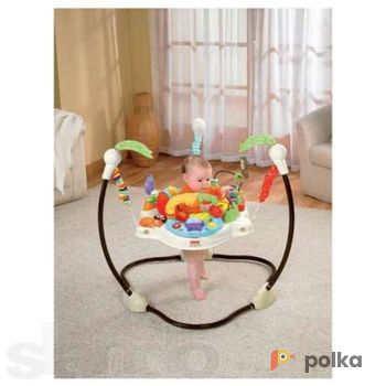 Возьмите Прыгунки Fisher Price Любимый зоопарк напрокат (Фото 2) в Ярославле