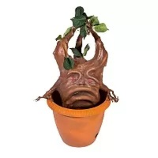 Корень Мандрагоры