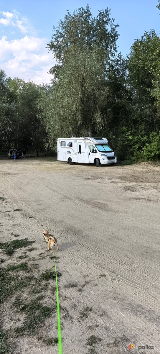 Возьмите Автодома напрокат (Фото 1) в Москве