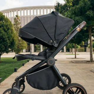 Детская прогулочная коляска Carrello Epica