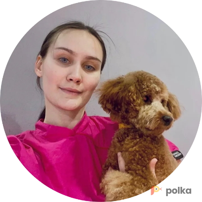 Возьмите FLUFFY студия груминга для животных напрокат (Фото 1) в Москве