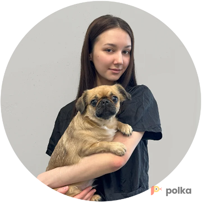 Возьмите FLUFFY студия груминга для животных напрокат (Фото 2) в Москве