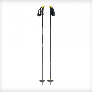 Expedition 1 Ski Poles