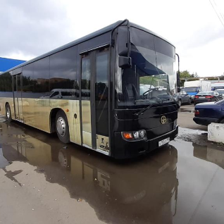 Пати Бас Golden-Bus